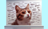 Cat Meme Tips for Achieving Feline Internet Fame