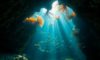 Belize Diving: Explore Unseen Underwater Treasures Beyond Blue Hole