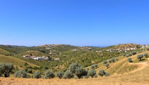 Olive Heritage: Explore Alentejo’s Olive Route in Portugal