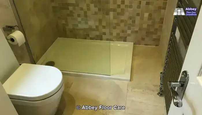 Recognising Areas Susceptible to Mildew Growth in Travertine Grout