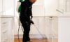 DIY Pest Control: Why Professional Treatments Outperform Store Sprays