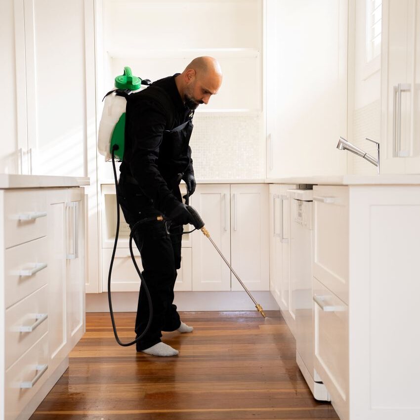 DIY Pest Control: Why Professional Treatments Outperform Store Sprays