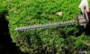 Hedge Trimming Best Practices for Marston Magna
