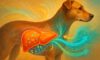 Liver Health Monitoring: Essential Guidelines for Dog Care