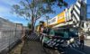 Crane-Assisted Tree Removal: Edgeworth Case Study Insights