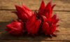 Hibiscus Flowers: Creative Culinary Techniques Unveiled